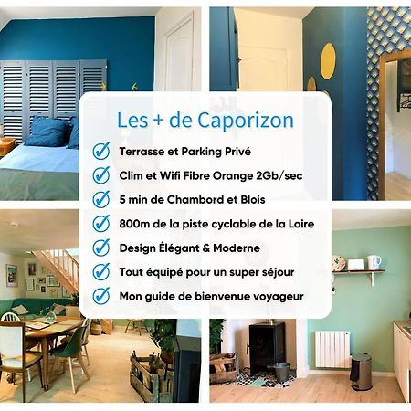 Вилла Caporizon-Le Coffre Fort-Le Clos De Chambord Saint-Claude-de-Diray Экстерьер фото